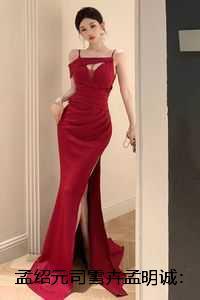 孟绍元司雪卉孟明诚