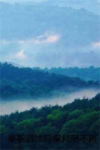 秦靳洛沈莳棠