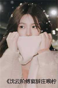 沈云阶傅宴辞庄晚柠