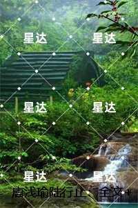 唐浅瑜陆行止