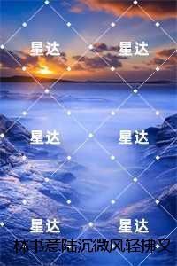 林书意陆沉