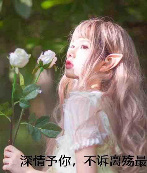 华梦月宋思哲+