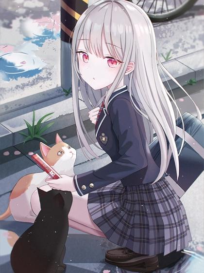 方晴顾波华林方凌